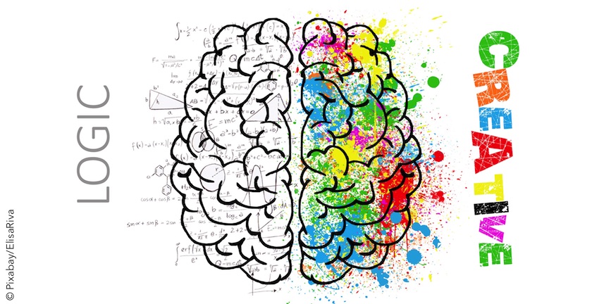 Effizientes Lernen - Eine Gebrauchsanleitung für das Gehirn